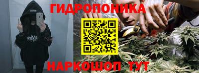 PSILOCYBIN Новокубанск